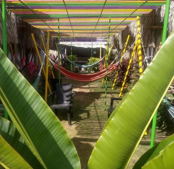 پانسیون Cabaña Beach Palomino