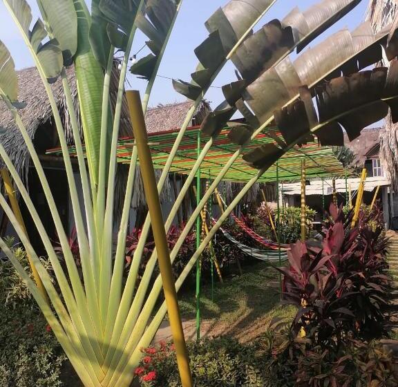 پانسیون Cabaña Beach Palomino