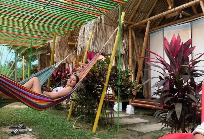 ペンション Cabaña Beach Palomino