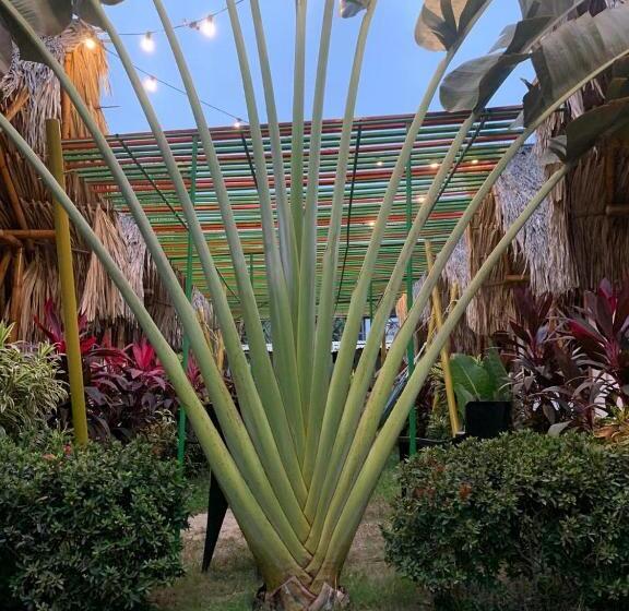 پانسیون Cabaña Beach Palomino