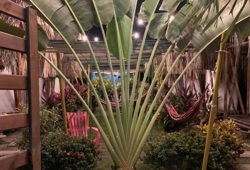 پانسیون Cabaña Beach Palomino