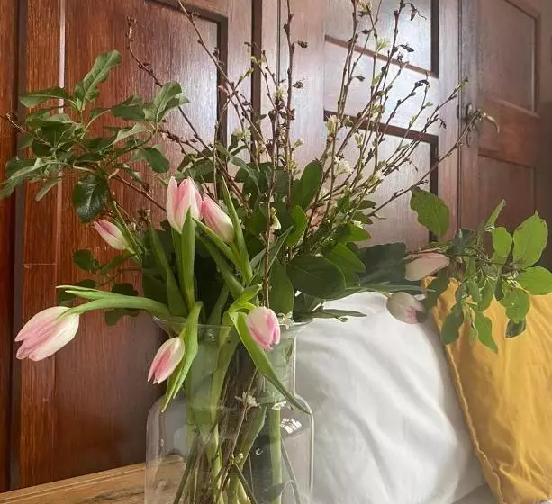 Kapselihotelli Endsleigh Park Aparthotel Close To Hull University