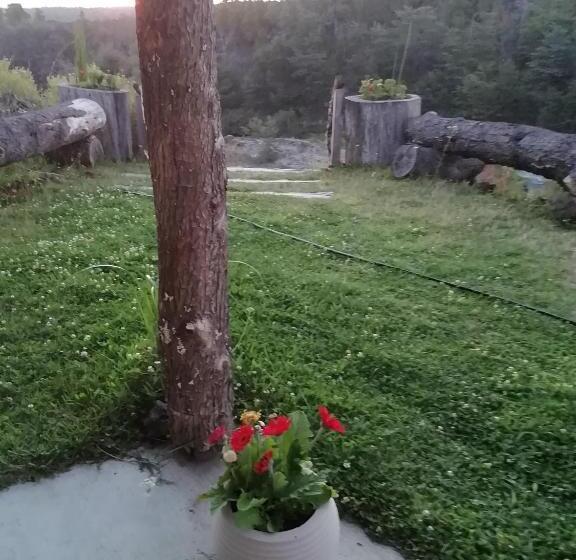 هتل Cabañas Lodge Patagonia Truful