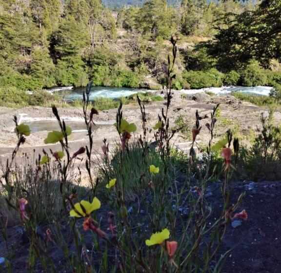 هتل Cabañas Lodge Patagonia Truful