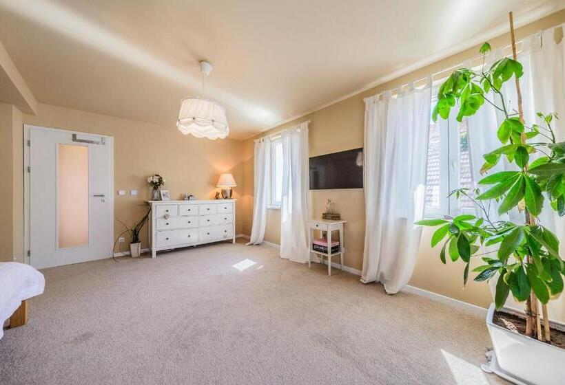 Mikulov Apartmány Magistr