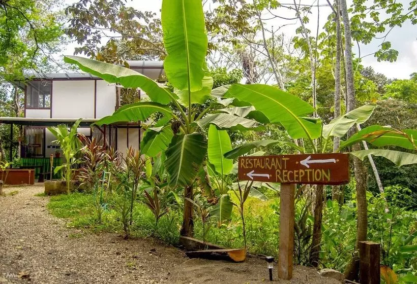 Osa Jungle Hostel