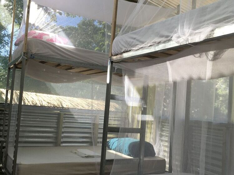Osa Jungle Hostel