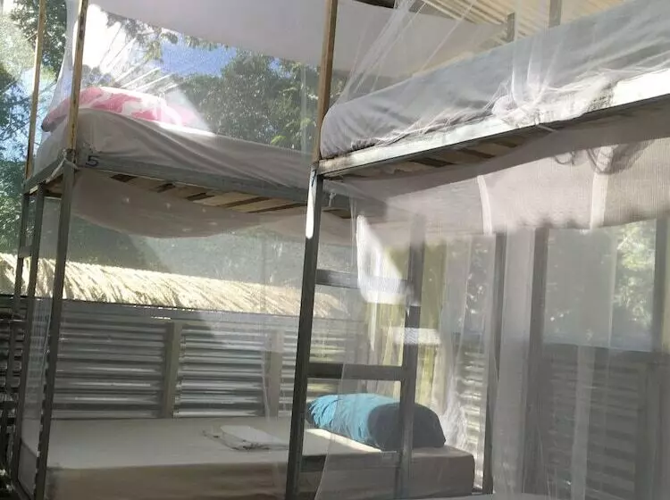 Osa Jungle Hostel