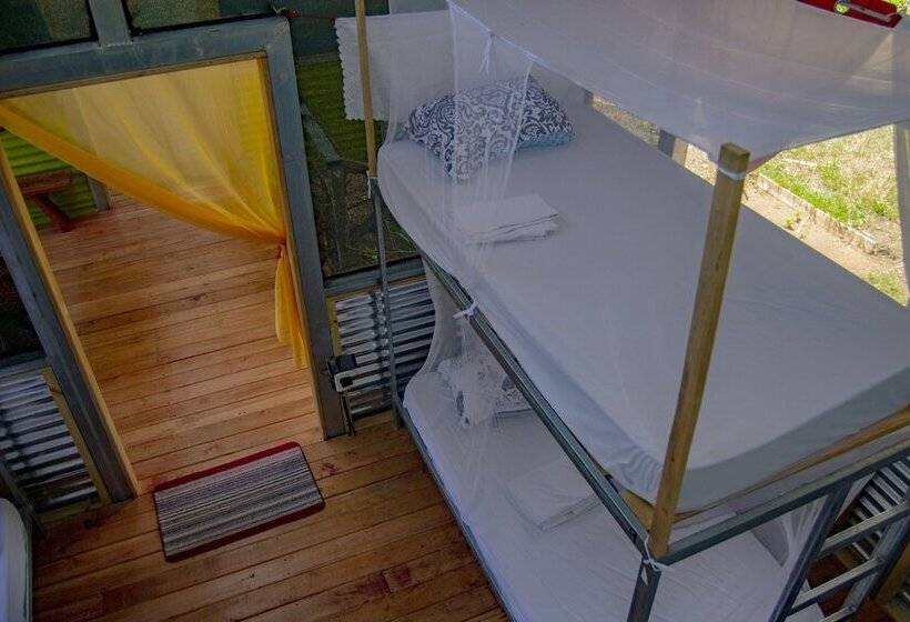 Osa Jungle Hostel
