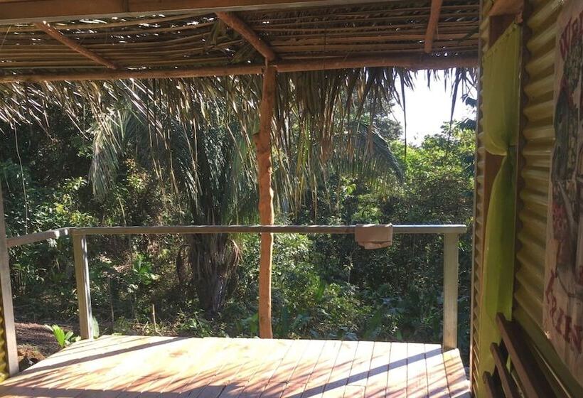 Osa Jungle Hostel