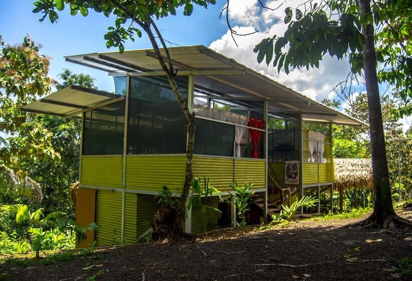 Osa Jungle Hostel