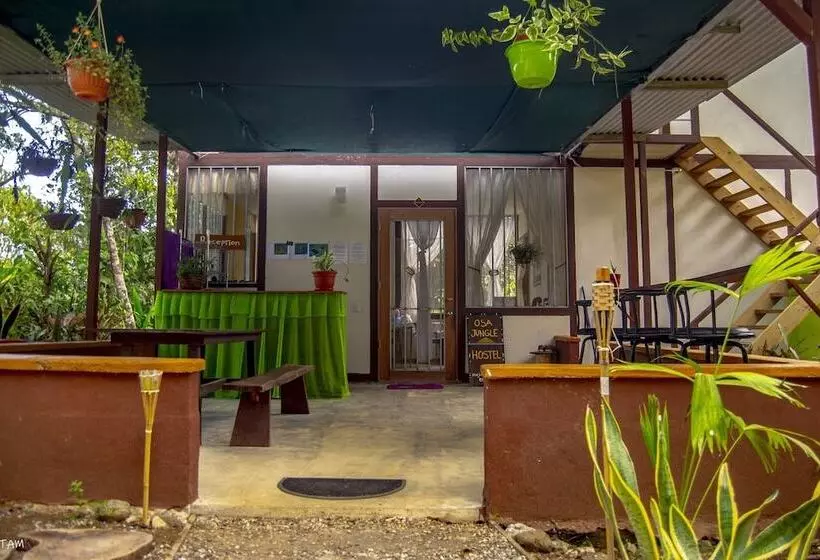 Osa Jungle Hostel