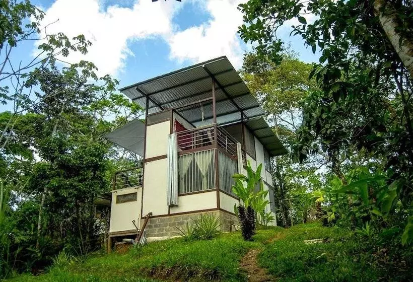 Osa Jungle Hostel