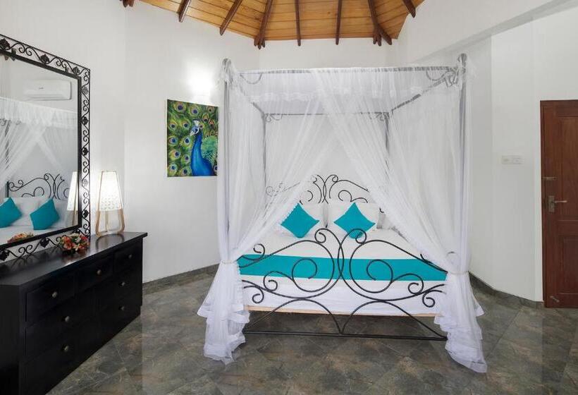 بنسيون Castle Colombo