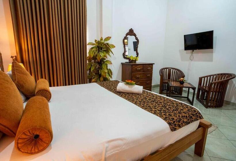 بنسيون Castle Colombo