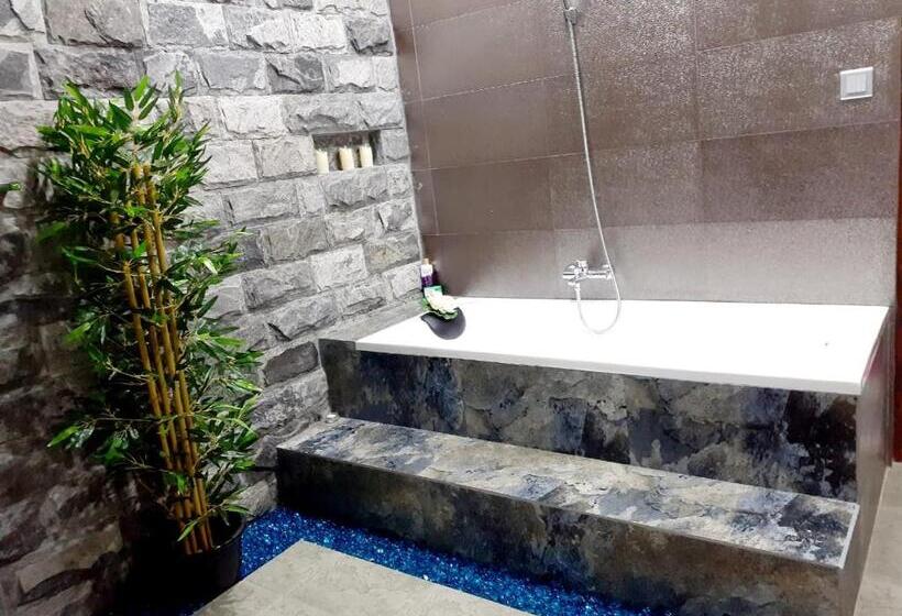 بنسيون Castle Colombo