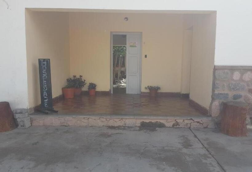 فندق صغير Posada El Abuelo