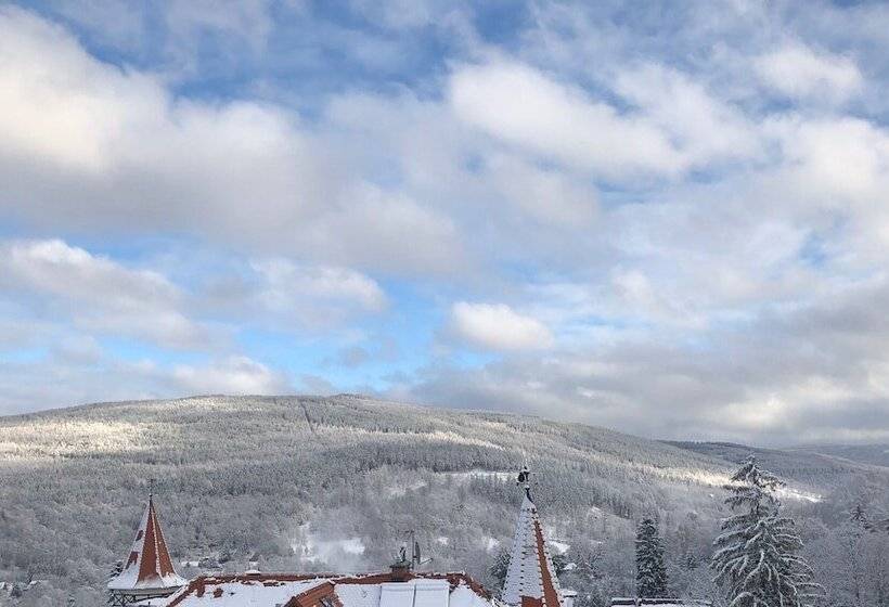 Boutique Hotel Sudetia   Medical & Spa