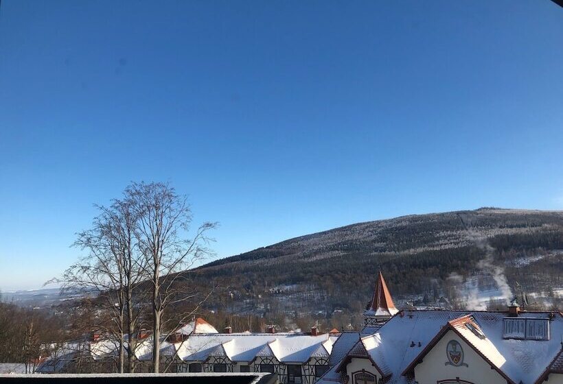 Boutique Hotel Sudetia   Medical & Spa