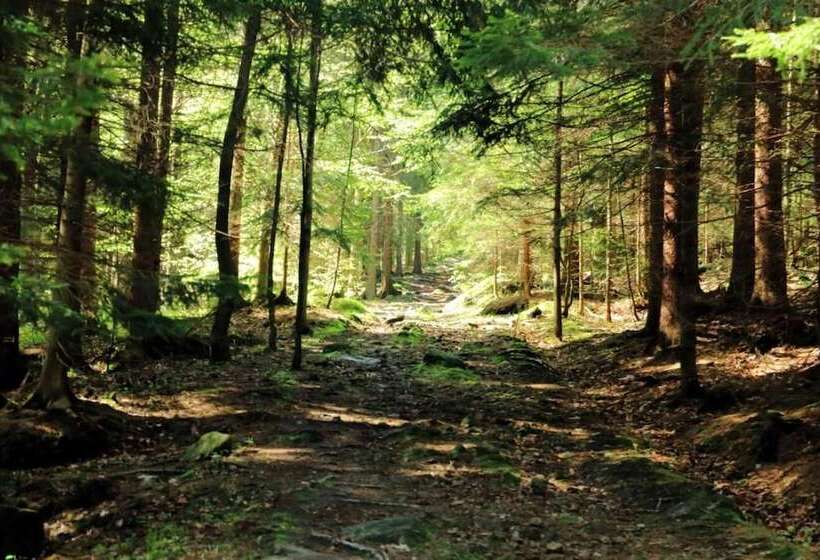 Boutique Hotel Sudetia   Medical & Spa