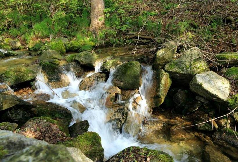 Boutique Hotel Sudetia   Medical & Spa