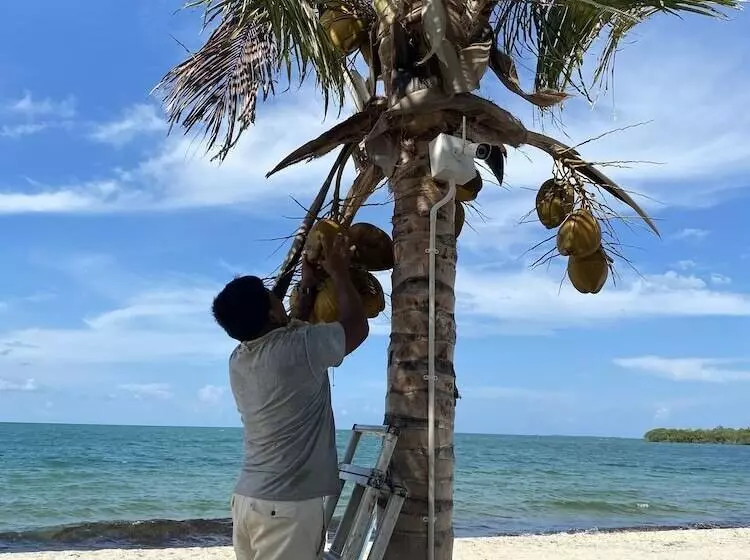 Lomakeskus Ocean Breeze