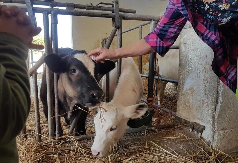 فندق Agriturismo La Fattoria