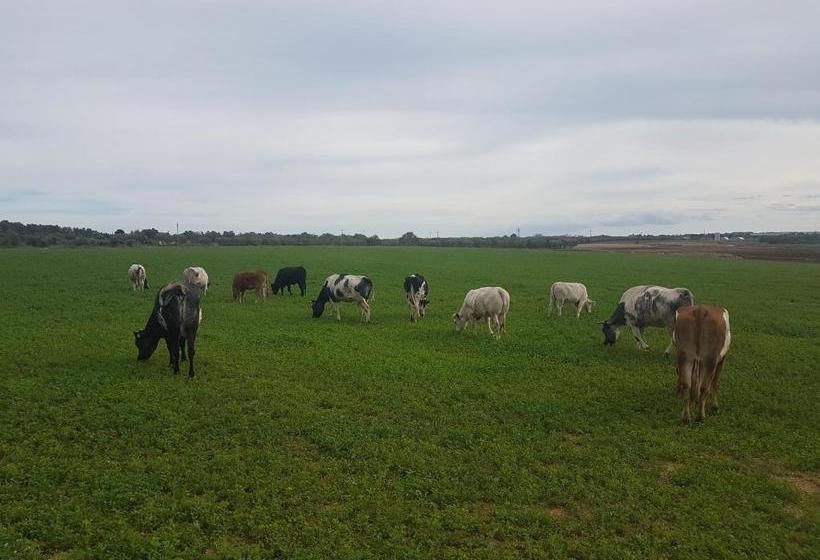 فندق Agriturismo La Fattoria