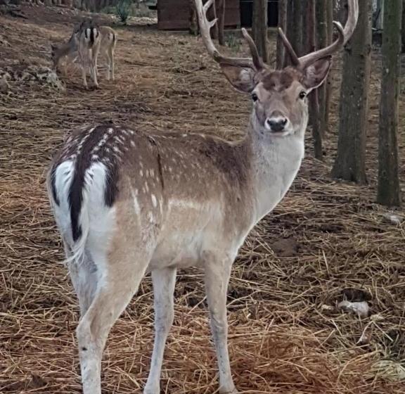 فندق Agriturismo La Fattoria