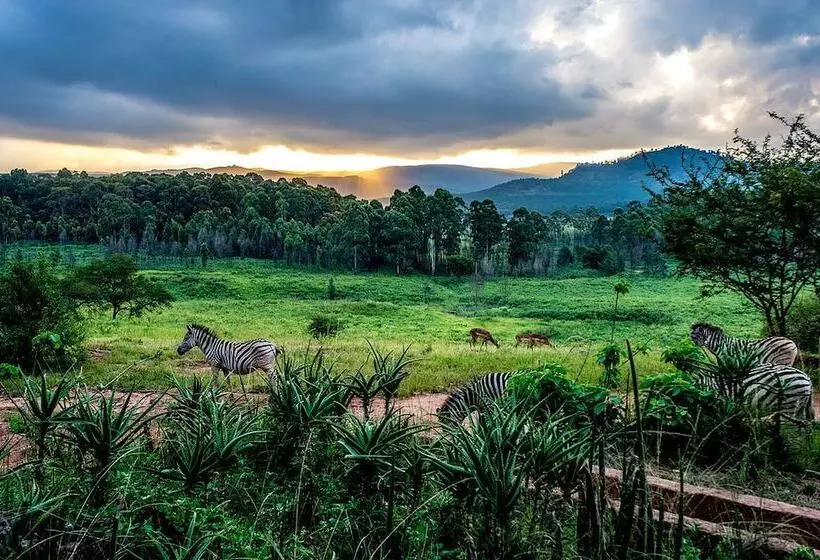 هتل Hilton Garden Inn Mbabane