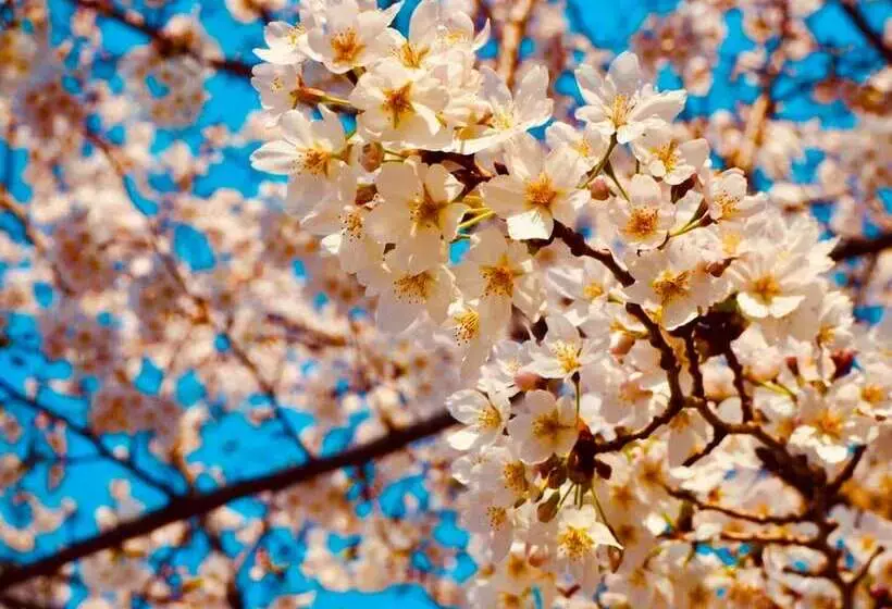 Apa Hotel Ueno Inaricho Ekikita