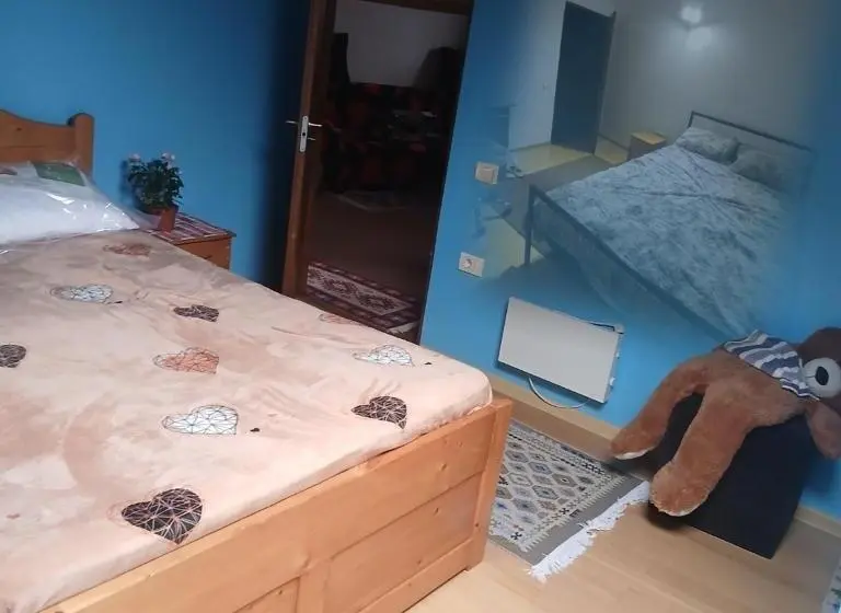 Aamiaismajoitus (B&B) Cărăbuș