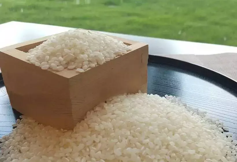 ホテル Toyoko Inn Narita Airport Shinkan