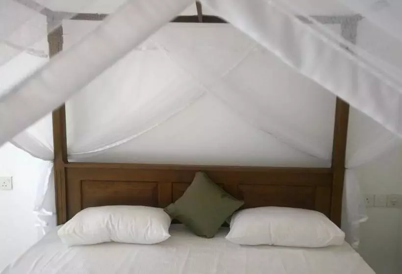 ペンション Augusto @ Midigama