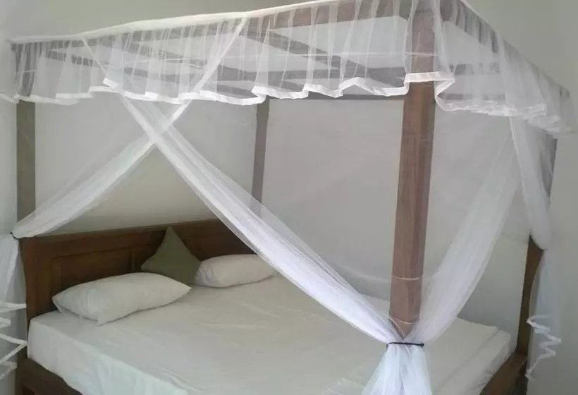 ペンション Augusto @ Midigama