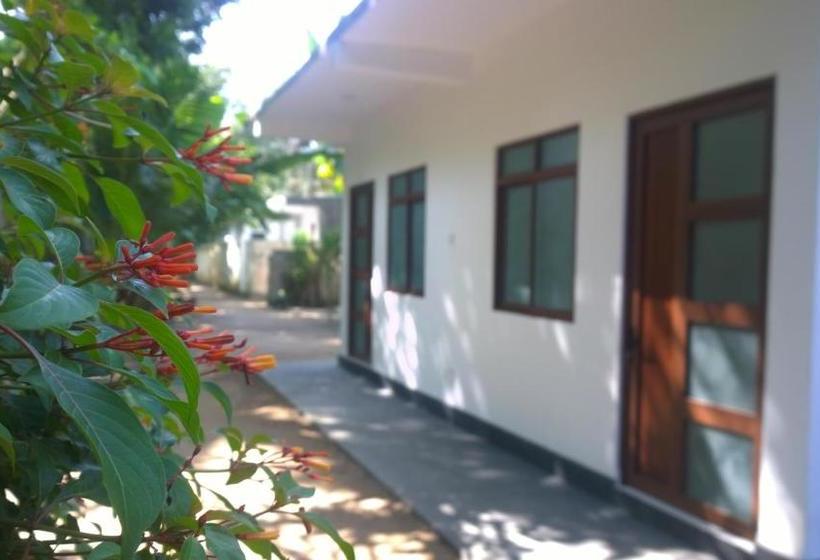 Pension (Hôtel basse catégorie) Augusto @ Midigama