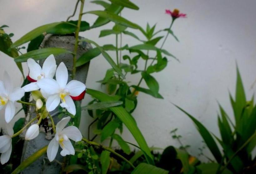 Pension (Hôtel basse catégorie) Augusto @ Midigama