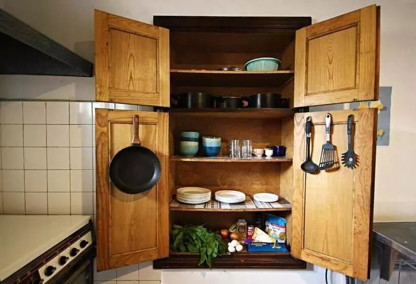 Dingo Backpackers Hostel