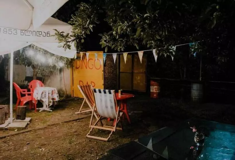Dingo Backpackers Hostel