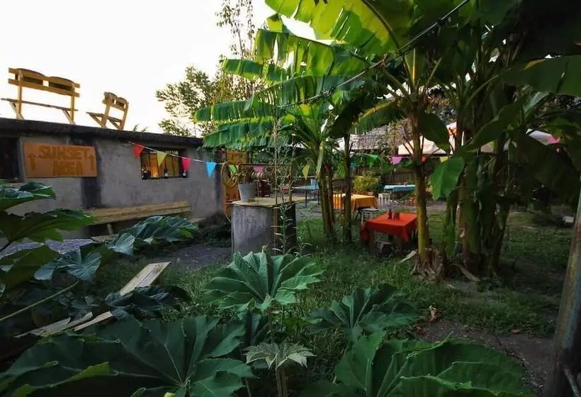 Dingo Backpackers Hostel