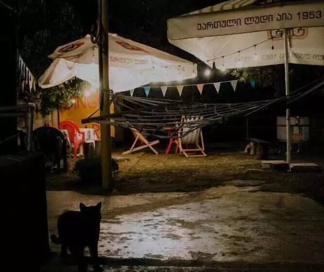 Dingo Backpackers Hostel