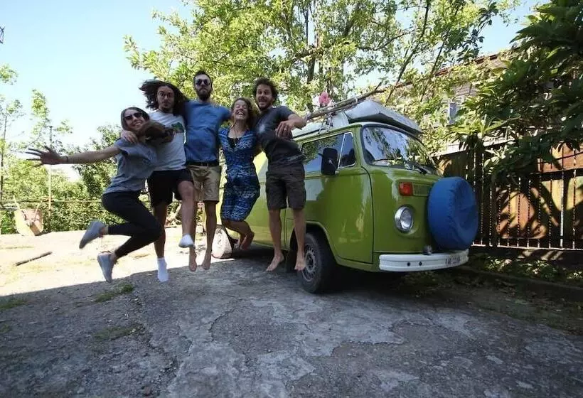 Dingo Backpackers Hostel