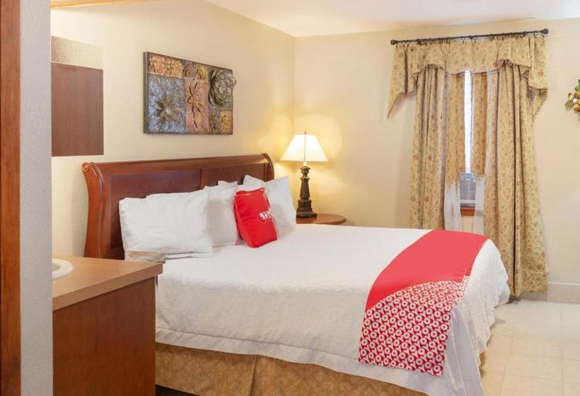 בית מלון כפרי Single Tree Inn