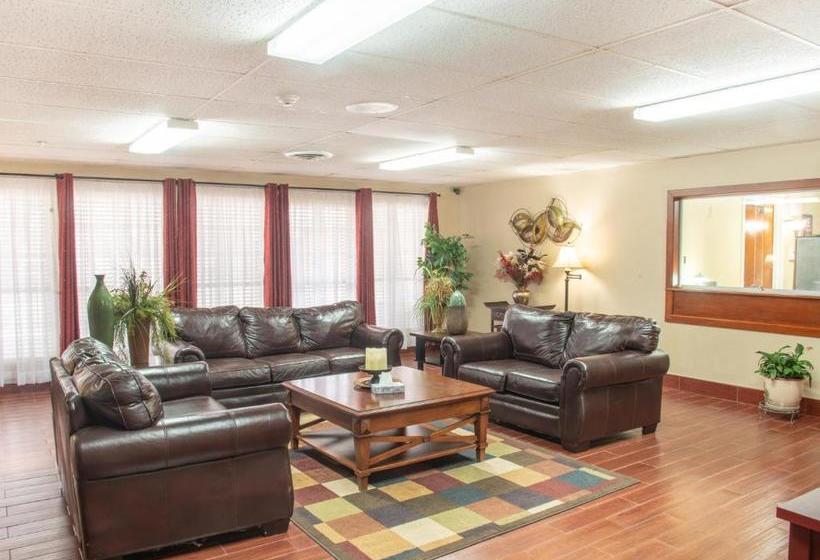 בית מלון כפרי Single Tree Inn