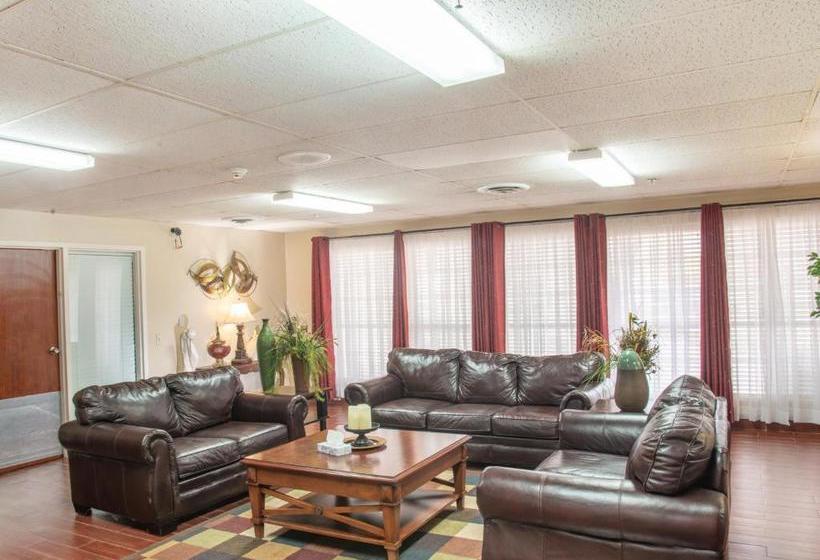 בית מלון כפרי Single Tree Inn