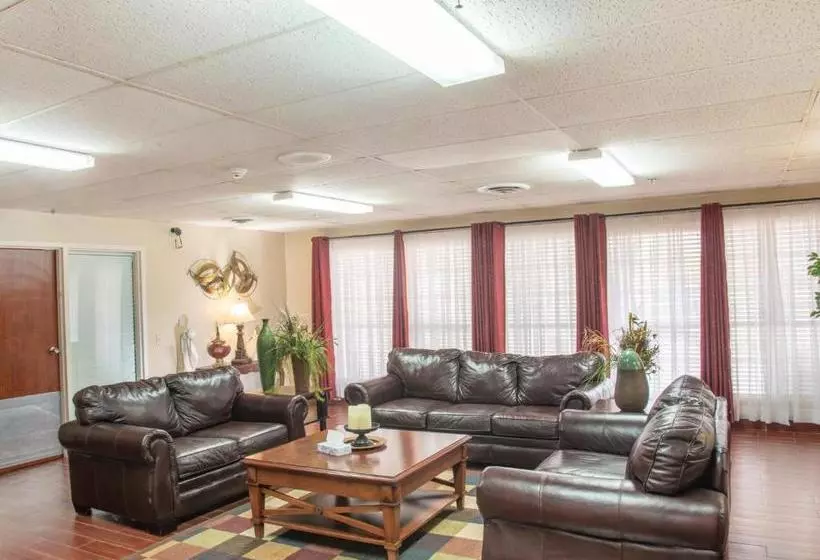 هتل Single Tree Inn