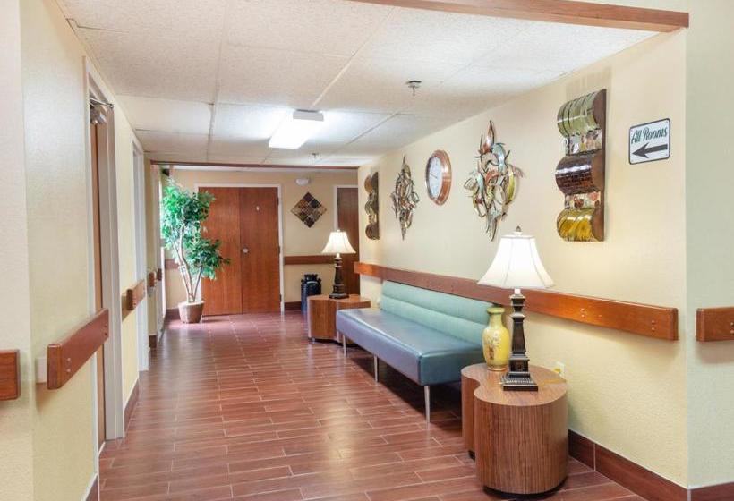 בית מלון כפרי Single Tree Inn