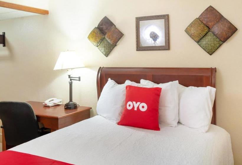 בית מלון כפרי Single Tree Inn