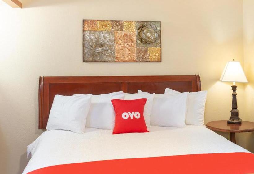 בית מלון כפרי Single Tree Inn