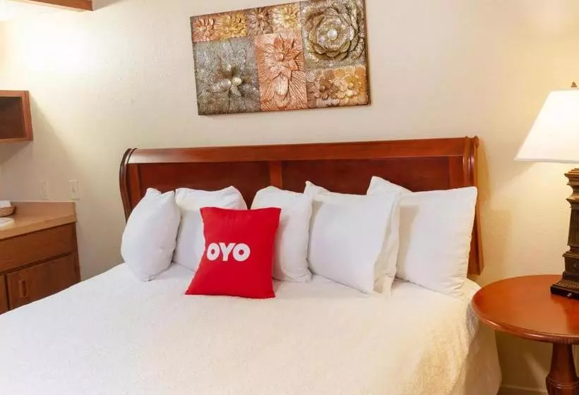 هتل Single Tree Inn